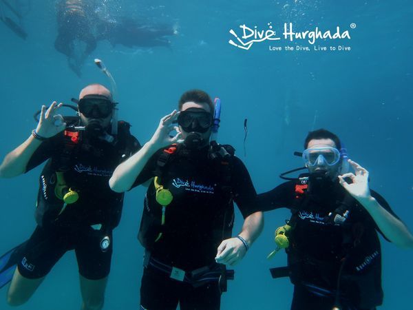 8 hábitos de los centros de buceo altamente recomendados en Egipto